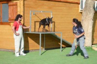 /album/trabajo-deportivo/p1010782-jpg/