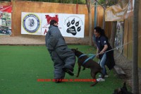 /album/trabajo-deportivo/img-3820-1-jpg/