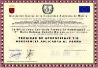 /album/a-c-b-c-asociacion-canina-boramorena/img139-jpg/