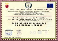 /album/a-c-b-c-asociacion-canina-boramorena/img141-jpg/
