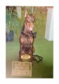 /album/exposiciones/charro-ca-jpg/